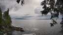 ./images/koeye/fitz-hugh/20250619/fitz-hugh20250619_171511M.jpg