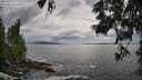 ./images/koeye/fitz-hugh/20250619/fitz-hugh20250619_172009M.jpg