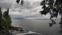 ./images/koeye/fitz-hugh/20250619/fitz-hugh20250619_173012M.jpg