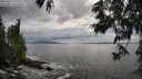 ./images/koeye/fitz-hugh/20250619/fitz-hugh20250619_173510M.jpg