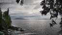 ./images/koeye/fitz-hugh/20250619/fitz-hugh20250619_174009M.jpg