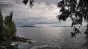 ./images/koeye/fitz-hugh/20250619/fitz-hugh20250619_174509M.jpg