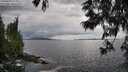 ./images/koeye/fitz-hugh/20250619/fitz-hugh20250619_175010M.jpg