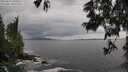 ./images/koeye/fitz-hugh/20250619/fitz-hugh20250619_180506M.jpg