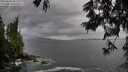 ./images/koeye/fitz-hugh/20250619/fitz-hugh20250619_181511M.jpg