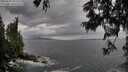 ./images/koeye/fitz-hugh/20250619/fitz-hugh20250619_182510M.jpg