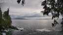 ./images/koeye/fitz-hugh/20250619/fitz-hugh20250619_184508M.jpg