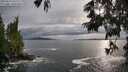 ./images/koeye/fitz-hugh/20250619/fitz-hugh20250619_190009M.jpg