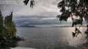 ./images/koeye/fitz-hugh/20250619/fitz-hugh20250619_194009M.jpg