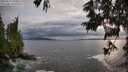 ./images/koeye/fitz-hugh/20250619/fitz-hugh20250619_194509M.jpg