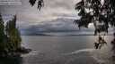 ./images/koeye/fitz-hugh/20250619/fitz-hugh20250619_195009M.jpg