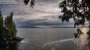 ./images/koeye/fitz-hugh/20250619/fitz-hugh20250619_195507M.jpg