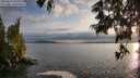 ./images/koeye/fitz-hugh/20250619/fitz-hugh20250619_203009M.jpg