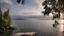 ./images/koeye/fitz-hugh/20250619/fitz-hugh20250619_203509M.jpg