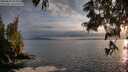 ./images/koeye/fitz-hugh/20250619/fitz-hugh20250619_204009M.jpg