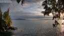 ./images/koeye/fitz-hugh/20250619/fitz-hugh20250619_204509M.jpg
