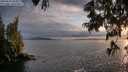./images/koeye/fitz-hugh/20250619/fitz-hugh20250619_205008M.jpg