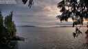 ./images/koeye/fitz-hugh/20250619/fitz-hugh20250619_210508M.jpg