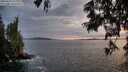 ./images/koeye/fitz-hugh/20250619/fitz-hugh20250619_212009M.jpg