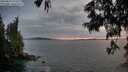 ./images/koeye/fitz-hugh/20250619/fitz-hugh20250619_214508M.jpg
