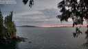 ./images/koeye/fitz-hugh/20250619/fitz-hugh20250619_215508M.jpg
