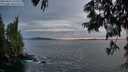 ./images/koeye/fitz-hugh/20250619/fitz-hugh20250619_220506M.jpg