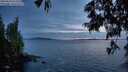 ./images/koeye/fitz-hugh/20250619/fitz-hugh20250619_222509M.jpg