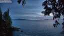 ./images/koeye/fitz-hugh/20250619/fitz-hugh20250619_223009M.jpg