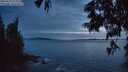 ./images/koeye/fitz-hugh/20250619/fitz-hugh20250619_224009M.jpg