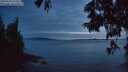 ./images/koeye/fitz-hugh/20250619/fitz-hugh20250619_224508M.jpg