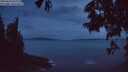 ./images/koeye/fitz-hugh/20250620/fitz-hugh20250620_042009M.jpg