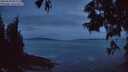 ./images/koeye/fitz-hugh/20250620/fitz-hugh20250620_042509M.jpg