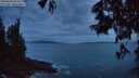 ./images/koeye/fitz-hugh/20250620/fitz-hugh20250620_043508M.jpg