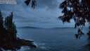 ./images/koeye/fitz-hugh/20250620/fitz-hugh20250620_044009M.jpg