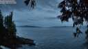./images/koeye/fitz-hugh/20250620/fitz-hugh20250620_044507M.jpg