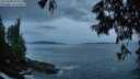 ./images/koeye/fitz-hugh/20250620/fitz-hugh20250620_045010M.jpg