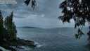 ./images/koeye/fitz-hugh/20250620/fitz-hugh20250620_050008M.jpg