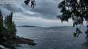 ./images/koeye/fitz-hugh/20250620/fitz-hugh20250620_051009M.jpg