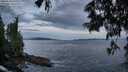 ./images/koeye/fitz-hugh/20250620/fitz-hugh20250620_051508M.jpg
