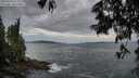 ./images/koeye/fitz-hugh/20250620/fitz-hugh20250620_052509M.jpg