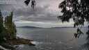 ./images/koeye/fitz-hugh/20250620/fitz-hugh20250620_053508M.jpg
