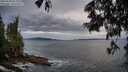 ./images/koeye/fitz-hugh/20250620/fitz-hugh20250620_054009M.jpg