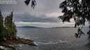 ./images/koeye/fitz-hugh/20250620/fitz-hugh20250620_054509M.jpg