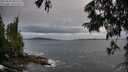 ./images/koeye/fitz-hugh/20250620/fitz-hugh20250620_055509M.jpg