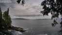 ./images/koeye/fitz-hugh/20250620/fitz-hugh20250620_062510M.jpg