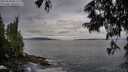 ./images/koeye/fitz-hugh/20250620/fitz-hugh20250620_063510M.jpg