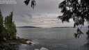 ./images/koeye/fitz-hugh/20250620/fitz-hugh20250620_064010M.jpg