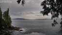 ./images/koeye/fitz-hugh/20250620/fitz-hugh20250620_064510M.jpg