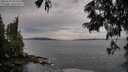 ./images/koeye/fitz-hugh/20250620/fitz-hugh20250620_065011M.jpg