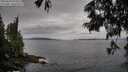 ./images/koeye/fitz-hugh/20250620/fitz-hugh20250620_070012M.jpg